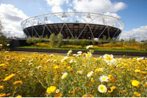 22_Fioritura dei prati del Parco Olimpico. Credit London 2012