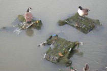 08_Carrelli dei supermercati nelle acque del fiume Lea prima dei lavori di bonifica. Credit London 2012