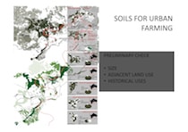 Fig. 9. Survey of the urban agricultural soils.