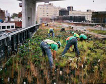 High line, James Corner Field Operations with Diller Scofidio + Renfro and Piet Oudolf, NY 2004-2011